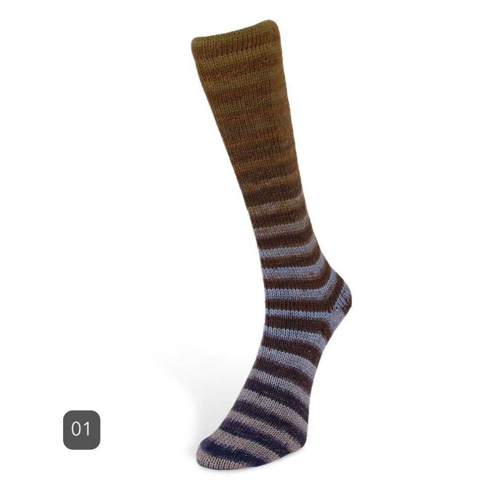 Laines du Nord - 6 ply Paint Socks
