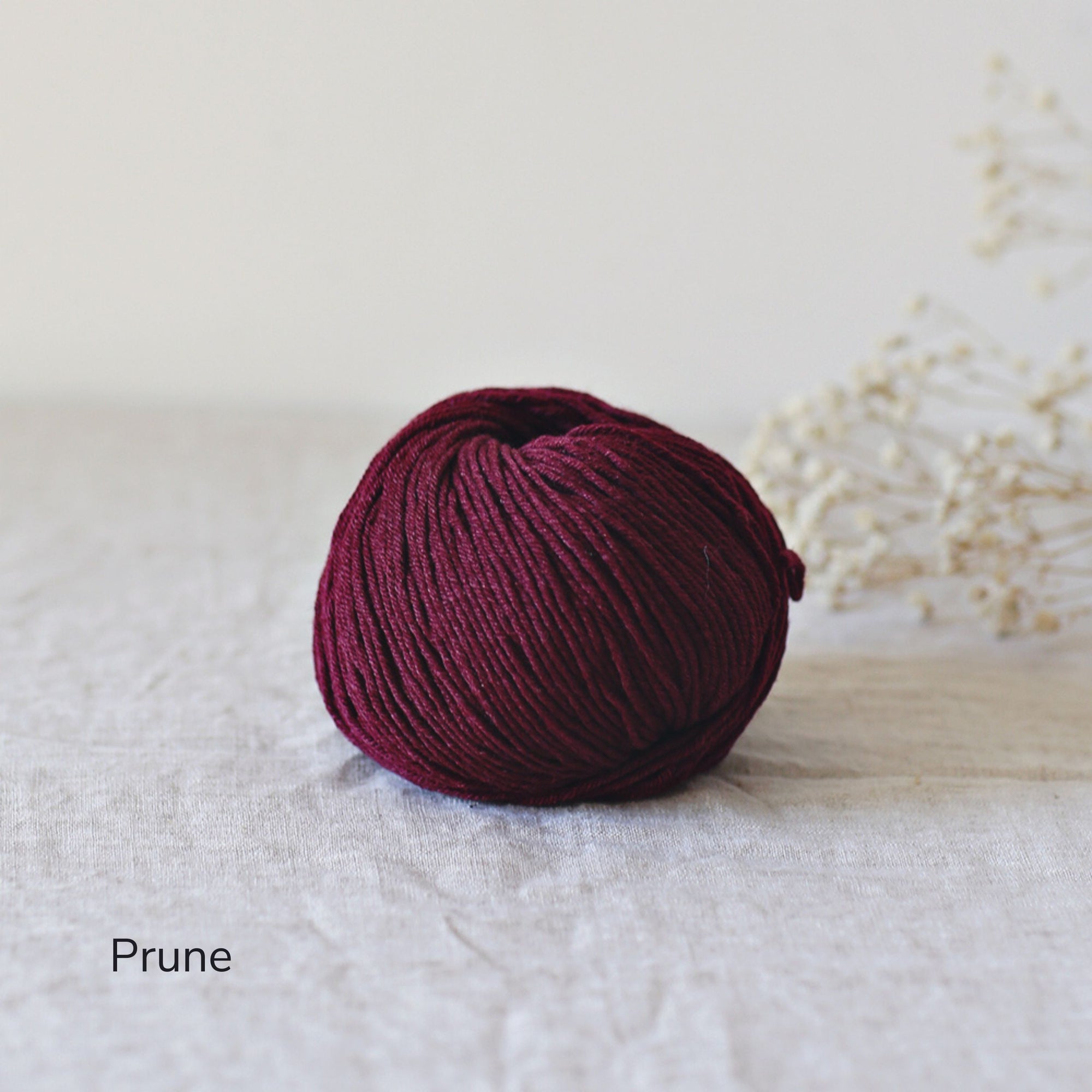 De Rerum Natura - Pénélope