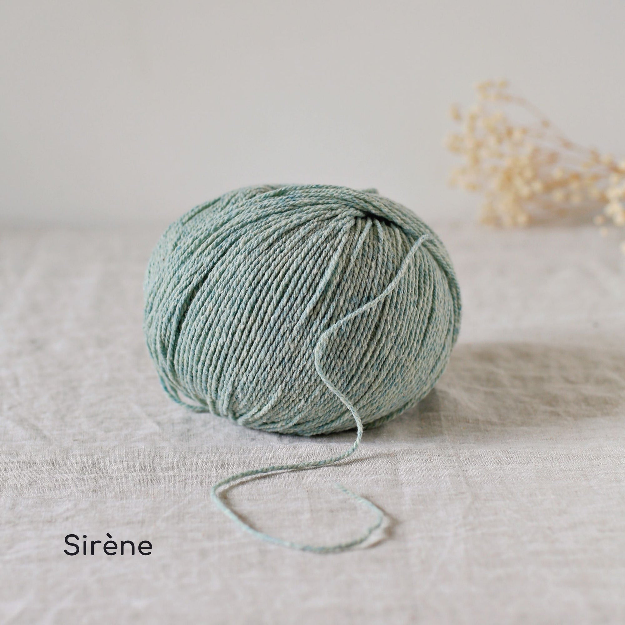 De Rerum Natura - Candide