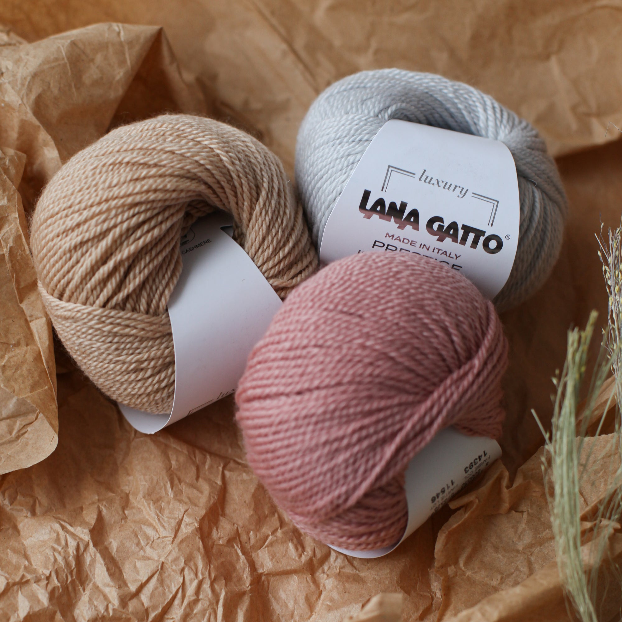 Lana Gatto - Prestige